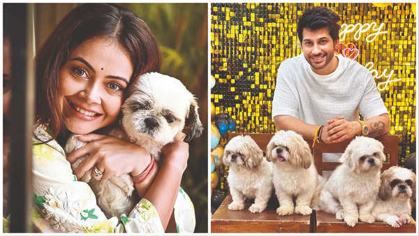 Devoleena Bhattacharjee and Namish Taneja with their pets