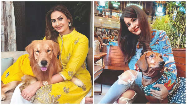 Ekta Saraiya and Charrul Malik with their pets