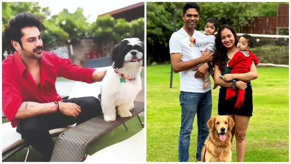 Ashish Kapoor and Archana Karmarkar with their pets