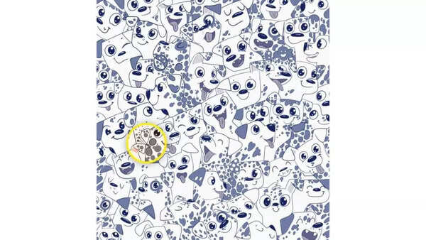 find-hidden-animals-picture-puzzles-with-answers