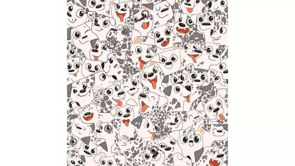 find-hidden-animals-picture-puzzles