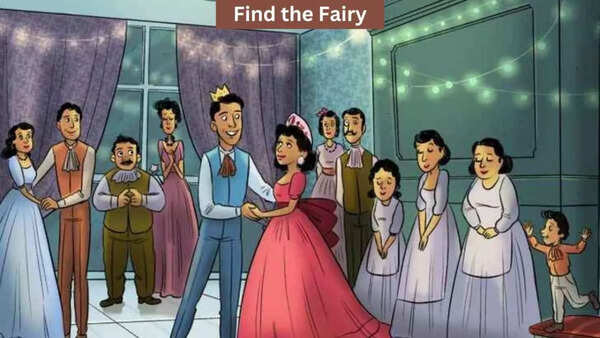Find-the-fairy-in-the-party