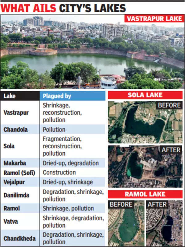 Ahmedabad lake pollution