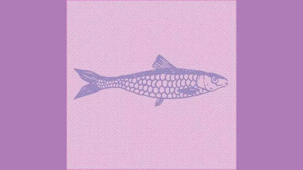 fishmarket