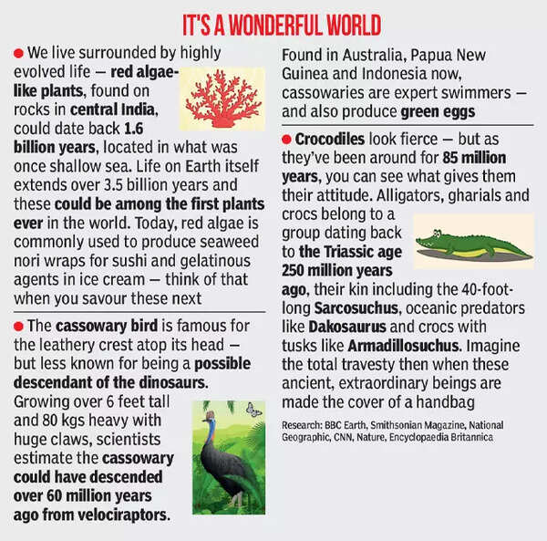 Earth: ‘Earth saw five mass extinctions due to natural change — the ...