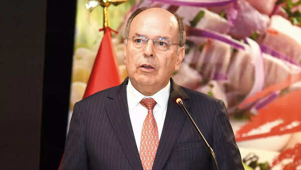 Javier Paulinich, Ambassador of Peru