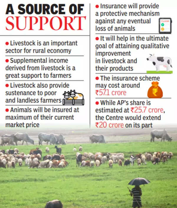 Livestock Insurance Livestock Insurance Scheme to Replace Compensation