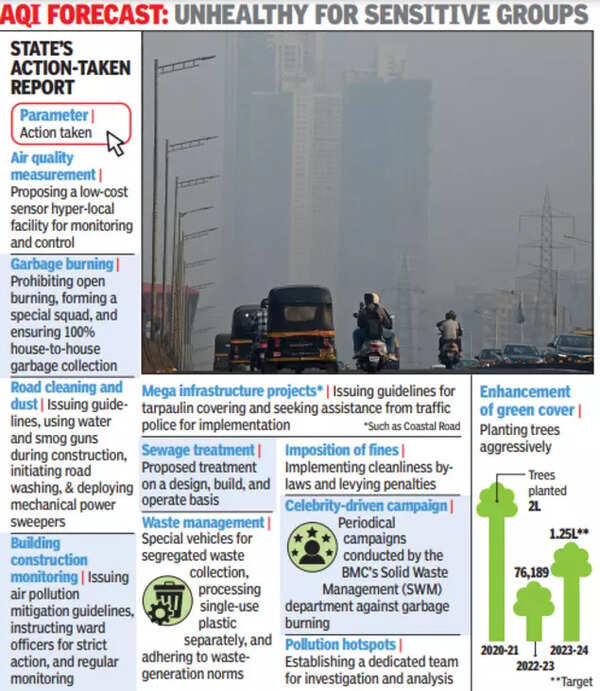 Maharashtra pollution