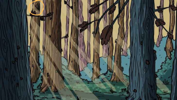 forest (1)