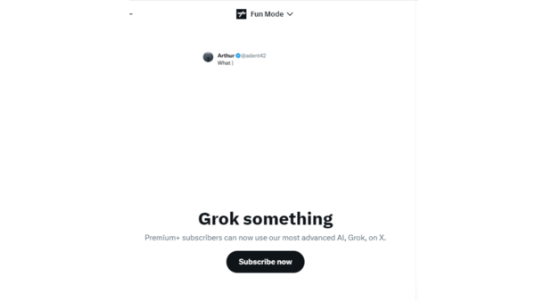 How to use Grok, the new AI tool of X - Times of India
