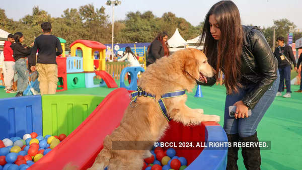 Play area for pets at the event