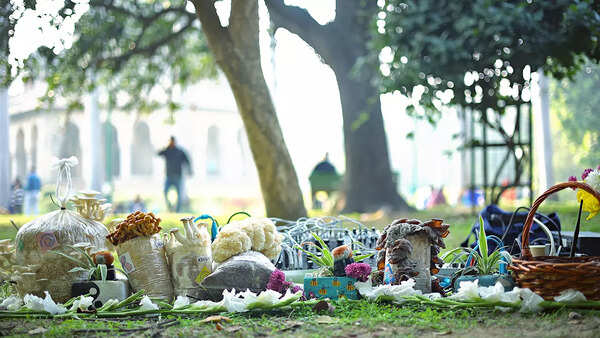 Apart from mushrooms, native flowers and leaves were also used