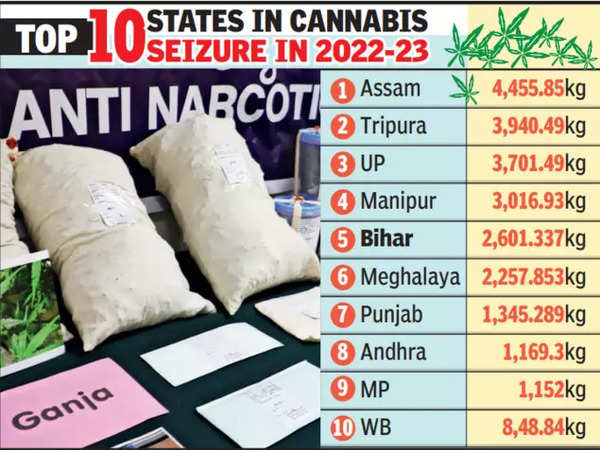 2,601kg of ganja seized in 1 year in Bihar, 5th highest in country | Patna News – Times of India