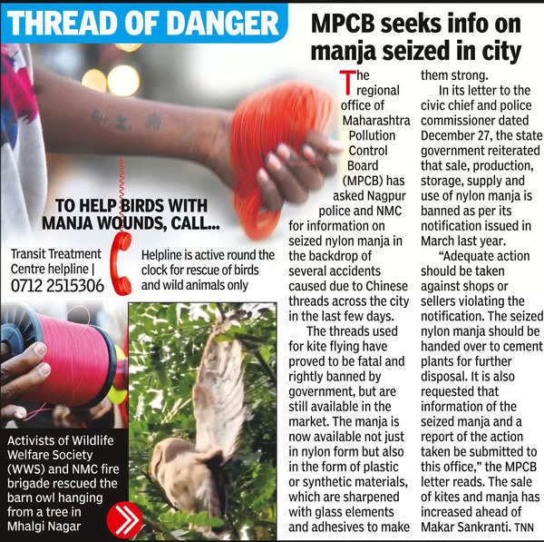 Manja Menace: Uncontrolled Sale of Banned Nylon Manja Continues | Nagpur News – Times of India