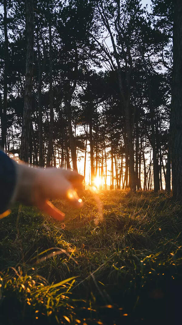 Harmful Effects of Placing Laptop on Your Lap Times of India