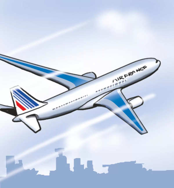 Emergency Landing: Flyer Discharged | Nagpur News – Times of India