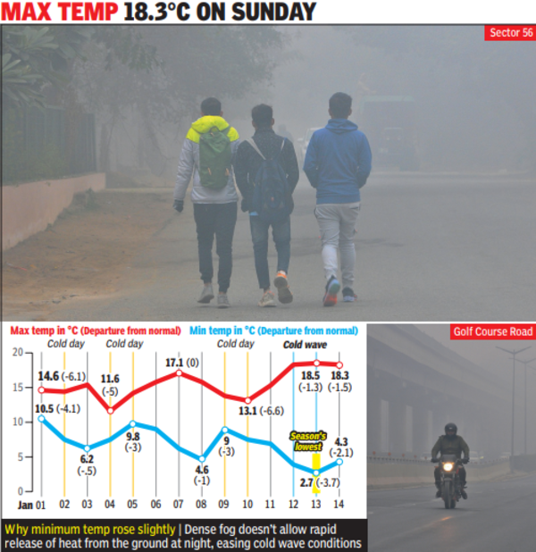 Delhi Battles Cold Wave: Winter Soldiers Fight on Three Fronts | Gurgaon News – Times of India