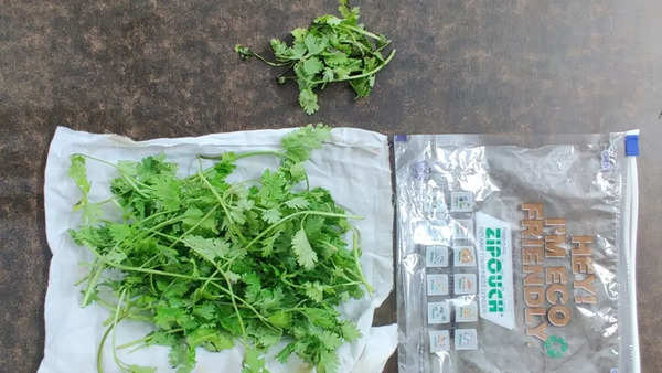 Coriander Seed, Whole - The Reluctant Trading Experiment