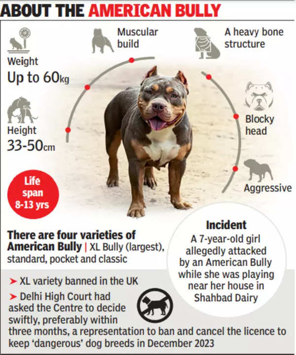 Neighbour’s Dog Attacks 7-Year-Old in Delhi: Father Files FIR | Delhi News – Times of India