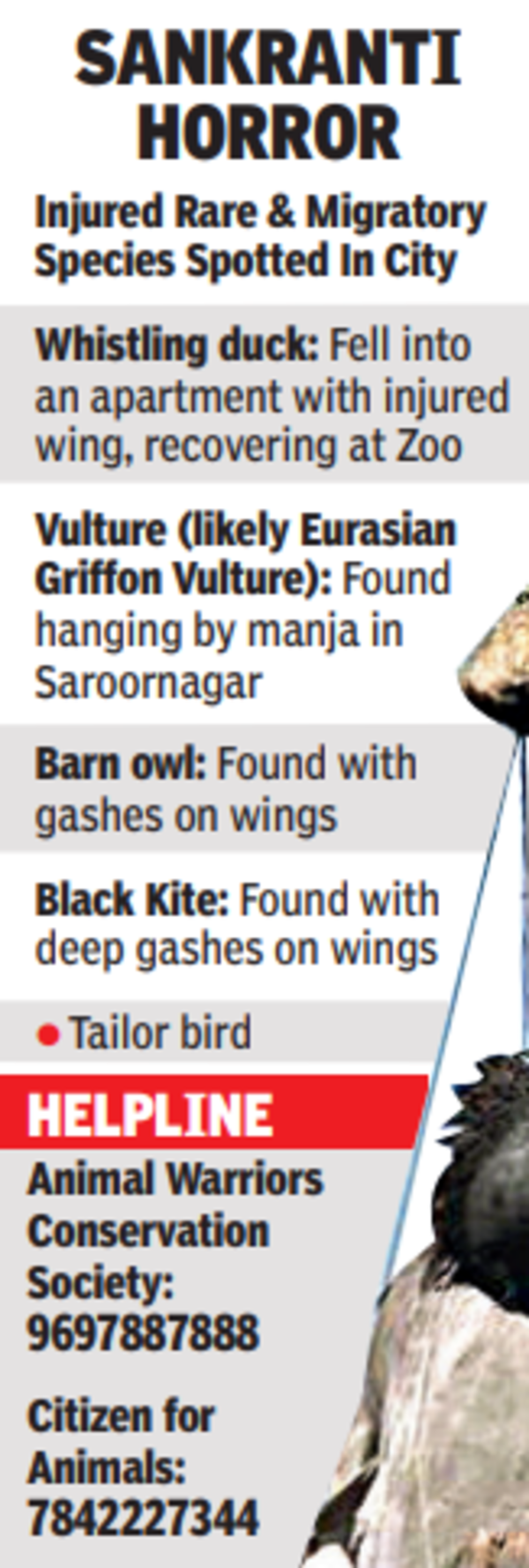 Kite Flying Incidents Death Toll Rises to 9 Hyderabad News Times