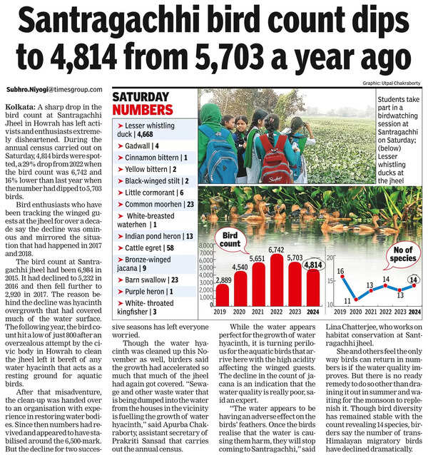 Climate Change, Habitat Loss And Pollution Behind Dip In Migratory Bird