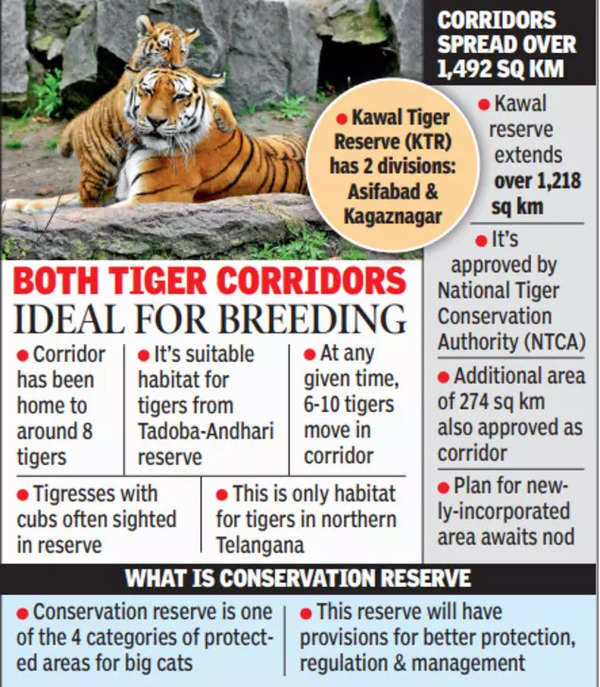 Asifabad, Kagaznagar Corridors Likely To Get Conservation Zone Tag | Hyderabad News – Times of India