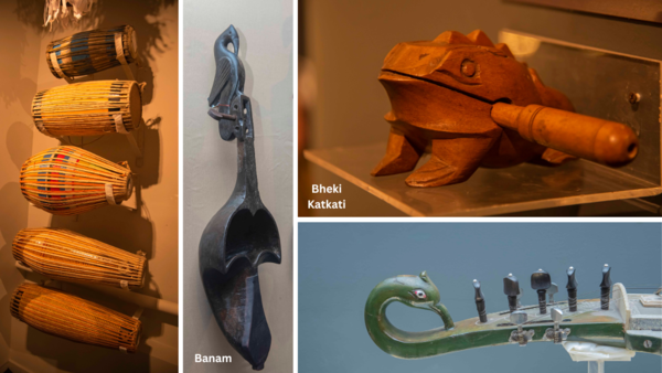 Taus, Esraj, Tuila: Rare musical instruments on display in Delhi ...