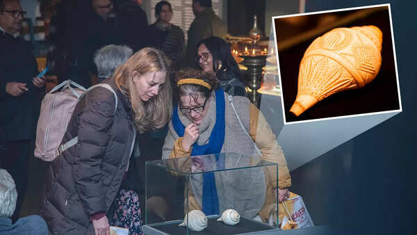 Taus, Esraj, Tuila: Rare musical instruments on display in Delhi ...