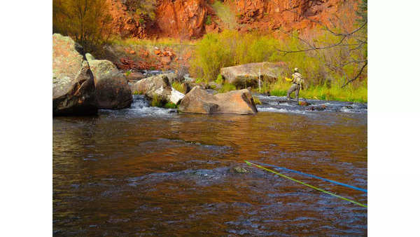 Fall - Aspen and Basalt Fly Fishing