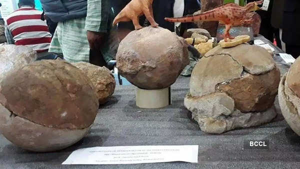 Dinosaur: Madhya Pradesh - Uncovering One Of The Largest Dinosaur ...