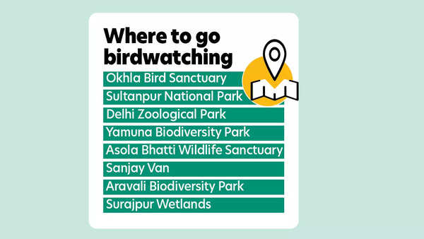 Birdwatching guide