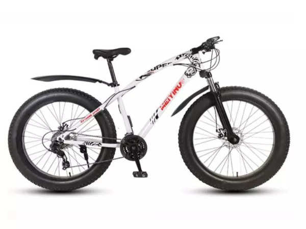 bengshi fat bike review