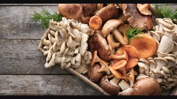 Types of Mushrooms Found in India - A Guide to the Fascinating Variety