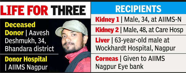 34-yr-old dies on road – Organ Donation News | Nagpur News – Times of India