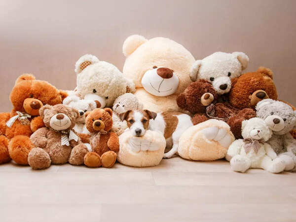 2024 Teddy Day, Happy Teddy Day