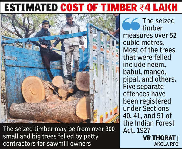 Akola foresters seize huge stock of illicitly felled trees