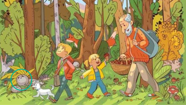 Optical Illusion: Find the Hidden Apple in the Forest and Test Your ...
