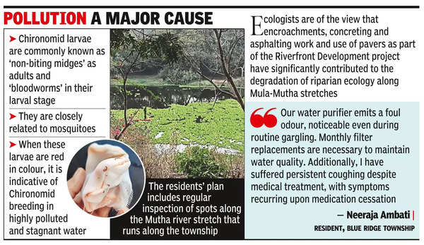 Hinjewadi residents set up pollution monitoring system