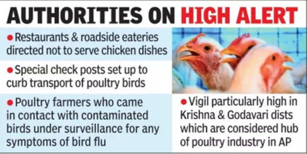 Andhra Pradesh Bird flu
