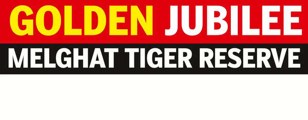 Forest department’s sporting gesture aims at saving tigers and preventing forest fires