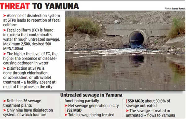 Why 75% of Delhi’s STPs aren’t ready to tackle Yamuna stink | Delhi News – Times of India