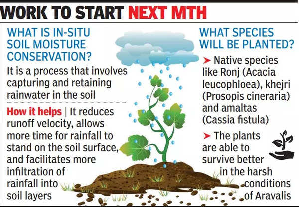 How Haryana plans to stop Thar before Aravalis | – Times of India