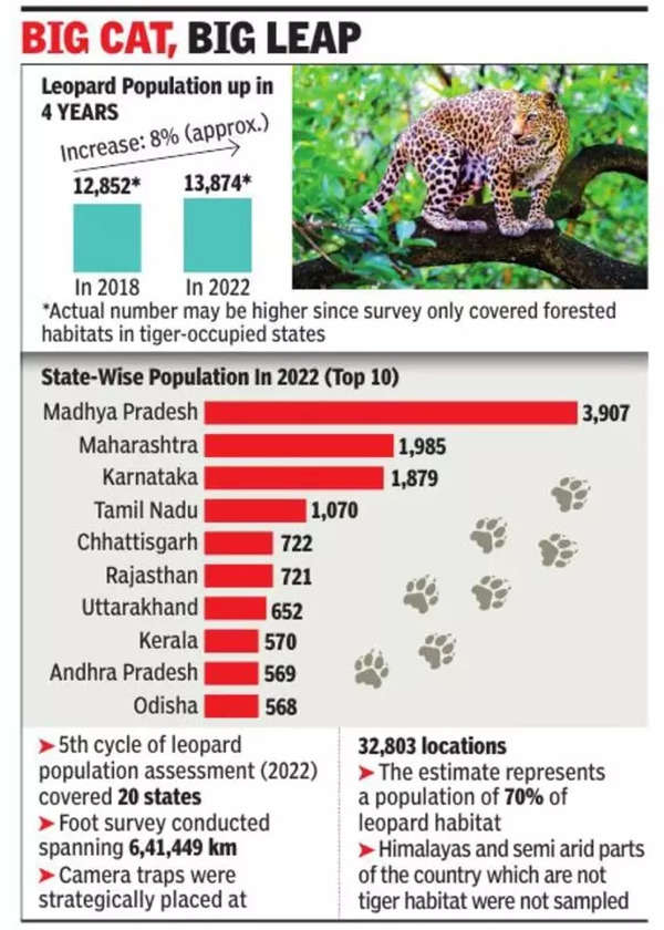 Leopard numbers rise 8% in four years in India, Uttarakhand reports ...