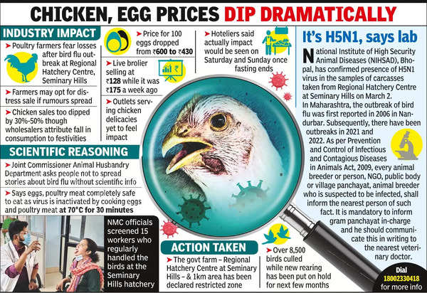 Bird Flu: Health Brass Ease Bird Flu Scare - Safe To Eat Chicken & Eggs ...