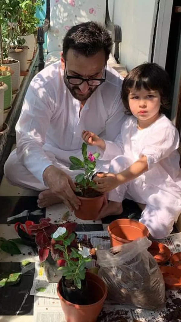 Saif Ali Khan