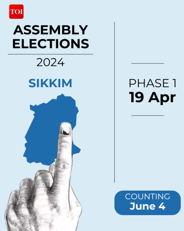 Copy of ASSEMBLY ELECTIONS 2024 (1)