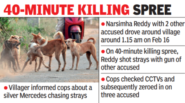 Silver Merc Led Police To Man Behind Massacre Of 20 Strays | Hyderabad ...