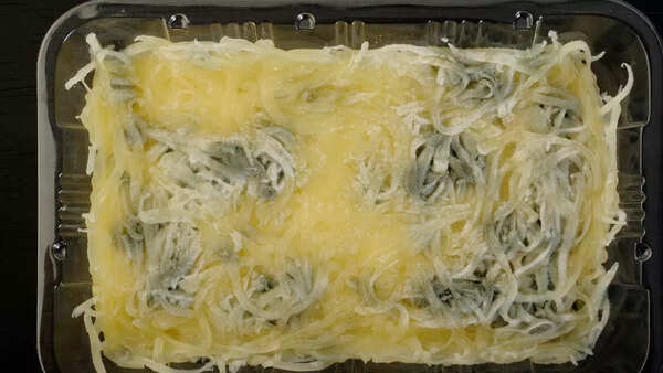 Can cheese go bad? Ways to check it at home - Times of India