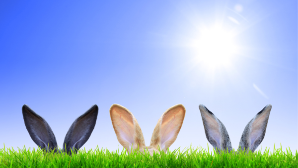 Easter (3)