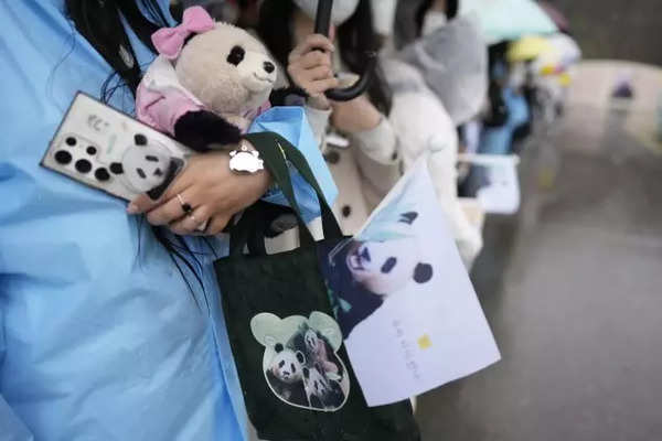 South Koreans bid emotional farewell to beloved panda leaving for China (1)